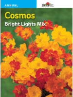 Burpee Cosmos Bright Lights Mixed Seeds Perspective: Main