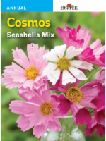 Burpee® Cosmos Seashells Mix Seeds Perspective: Main