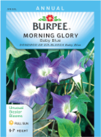 Burpee® Baby Blue Morning Glory Seeds Perspective: Main