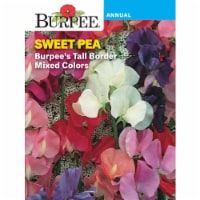 Burpee® Tall Border Mix Sweet Pea Seeds Perspective: Main