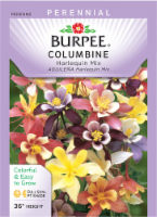 Burpee® Columbine Harlequin Mixed Color Seeds Perspective: Main