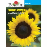 Burpee Sunflower Jua Maya Hybrid Seed Packet