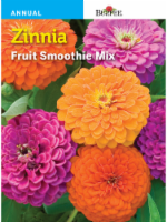 Burpee® Fruit Smoothie Mix Zinnia Seeds