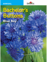 Burpee® Bachelor's Buttons Blue Boy Seeds Perspective: Main