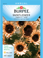 Burpee Apricot Twist Sunflower Seeds Perspective: Main