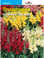 Burpee® Snapdragon Fordhook Tall Mix Seeds Perspective: Main