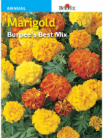 Burpee® Marigold Burpee's® Best Mix Seeds Perspective: Main