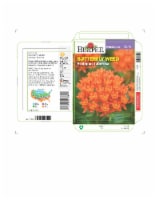 Burpee® Asclepias Butterfly Weed Seeds Perspective: Main