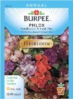 Burpee® Fordhook® Finest Mix Heirloom Phlox Seeds Perspective: Main