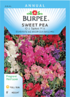 Burpee® Old Spice Mix Sweet Pea Seeds