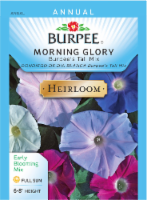 Burpee® Tall Mix Heirloom Morning Glory Seeds Perspective: Main