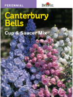 Burpee® Canterbury Bells Cup and Saucer Mix Seeds Perspective: Main