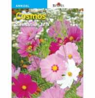 Burpee® Cosmos Sensation Mix Seeds Perspective: Main