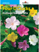 Burpee® Four O'Clocks Cottage Garden Mix Seeds