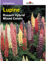 Burpee® Russell Hybrid Mixed Colors Lupine Seeds Perspective: Main