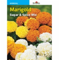 Burpee Sugar and Spice Mix Marigold Seeds Perspective: Main
