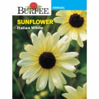 Burpee® Italian White Sunflower Seeds