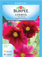 Burpee® Rubenza Cosmos Seeds Perspective: Main