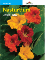 Burpee® Nasturtium Jewel Mix Seeds Perspective: Main