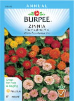 Burpee Thumbelina Mix Zinnia Seeds Perspective: Main