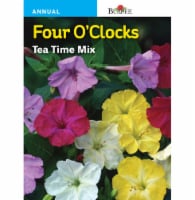 Burpee Tea Time Mix Four O'Clocks Seeds Perspective: Main