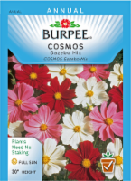 Burpee® Gazebo Mix Cosmos Seeds Perspective: Main