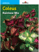 Burpee Coleus Rainbow Mix Seeds Perspective: Main