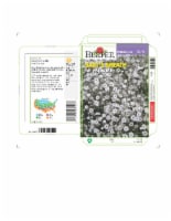 Burpee® Parennial Early Snowball Baby's Breath Seeds Perspective: Main