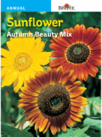 Burpee® Autumn Beauty Mix Sunflower Seeds Perspective: Main