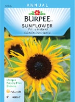 Burpee Frilly Hybrid Sunflower Seeds Perspective: Main