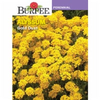 Burpee Gold Dust Alyssum Seeds Perspective: Main