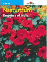 Burpee Nasturtium Empress of India Seeds - Red Perspective: Main