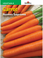 Burpee Nantes Supreme Carrot Seeds - Orange Perspective: Main