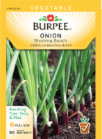 Burpee® Blushing Bunch Onion Seeds Perspective: Main