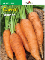 Burpee Touchon Carrot Seeds - Orange Perspective: Main