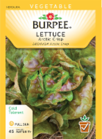 Burpee Arctic Crisp Lettuce Seeds Perspective: Main