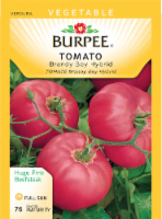Burpee Brandy Boy Hybrid Tomato Seeds Perspective: Main
