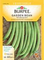 Burpee® Tendergreen Garden Bean Seeds Perspective: Main