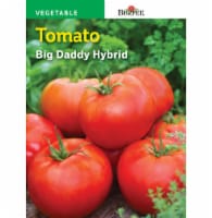 Burpee® Big Daddy Hybrid Tomato Seeds Perspective: Main