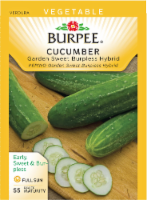 Burpee Garden Sweet Burpless Cucumber Seeds Perspective: Main