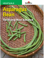 Burpee® Yardlong Red Seeded Asparagus Bean Seeds - Green Perspective: Main