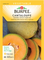 Burpee Sweet Slice Hybrid Cantaloupe Perspective: Main