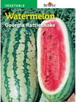 Burpee Georgia Rattlesnake Watermelon Seeds Perspective: Main