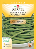 Burpee Triomphe de Farcy Heirloom Bush Bean Seeds