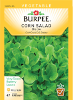 Burpee Bistro Corn Salad Seeds Perspective: Main