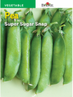 Burpee Sugar Snap Pea Seeds Perspective: Main