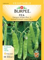 Burpee Oregon Sugar Pod II Pea Seeds Perspective: Main