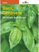 Burpee® Genovese Basil Seeds - Green Perspective: Main