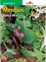 Burpee® Spicy Mesclun Mix Seeds Perspective: Main