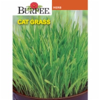 Burpee Cat Grass Herb Seeds Perspective: Main